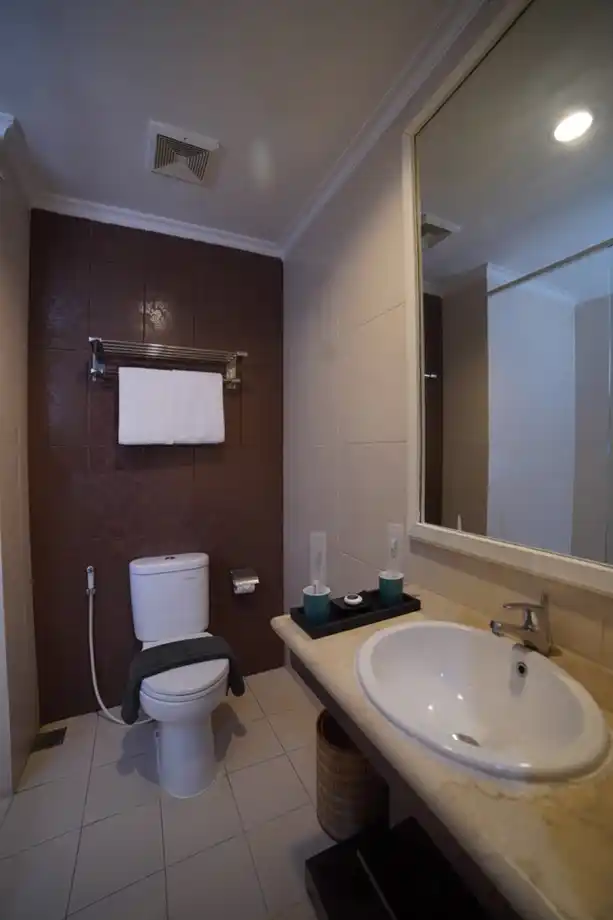 Deluxe Premiere Room with Bathub - 12