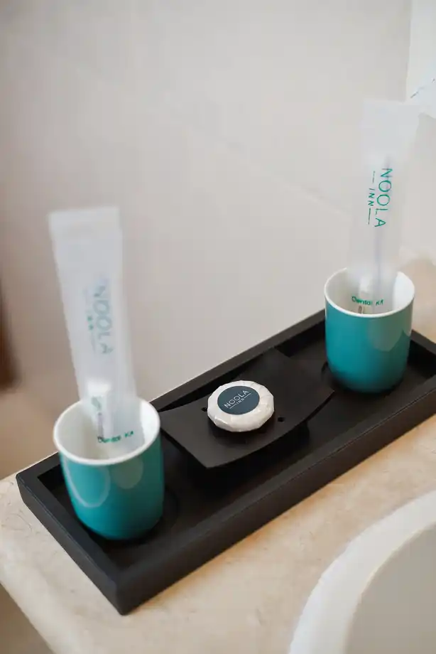 Premiere Twin Room - 10